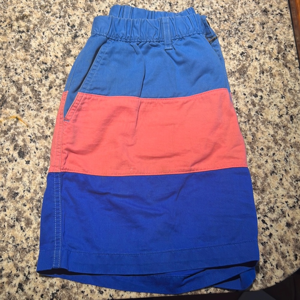 Chubbies Men’s Shorts Size Large